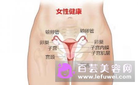 女生仰卧起坐怎么练 伤子宫吗