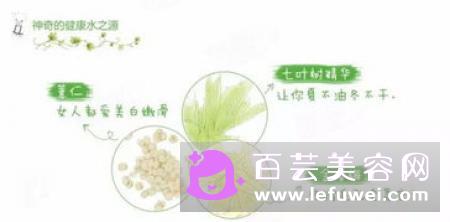 奥尔滨颈霜好用吗 怎么用好