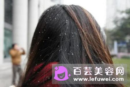 葡萄红头发适合什么年龄段 怎么才不会掉色