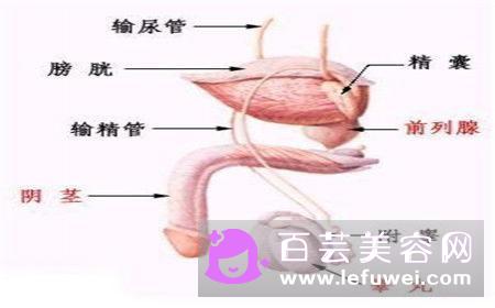 常涂指甲油会造成手指长白斑吗