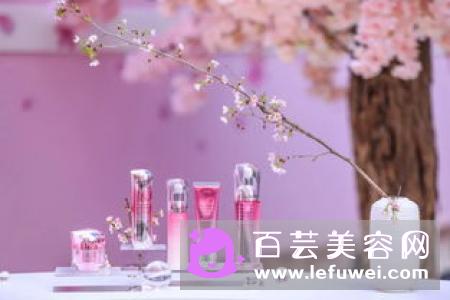 资生堂新透白晚安粉怎么样 多少钱