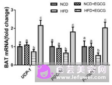 接吻可以减肥吗?原理是什么?