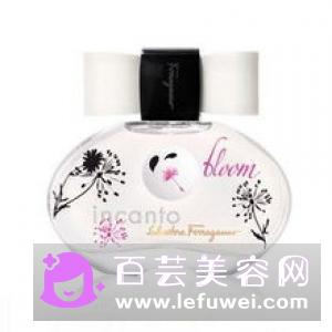橘滋脏话香水味道怎么样 价格多少钱