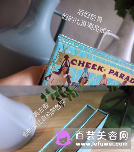 贝玲妃腮红盘真假辨别图 从外观怎么看