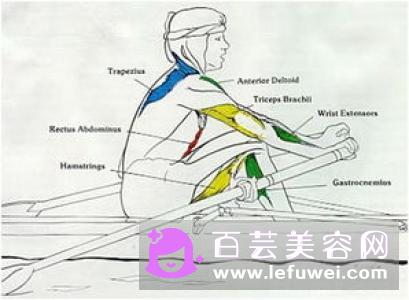 划船机的锻炼方法 是练腹肌的吗