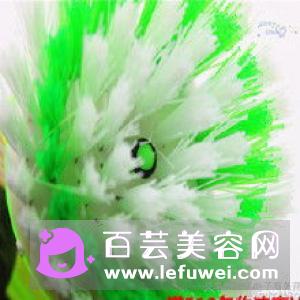 化妆刷能用洗洁精洗吗 洗刷工具有哪些