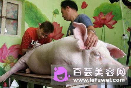 防晒霜为什么能防晒 能涂纹身部位吗