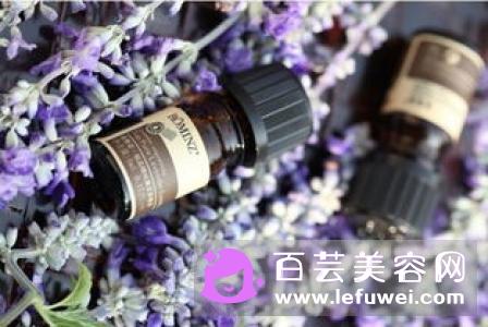 薰衣草精油的稀释方法 比例是多少