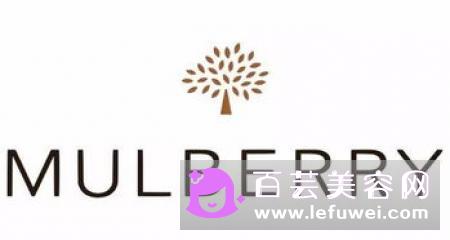 英树是什么牌子 属于什么档次