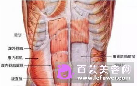 健骑机锻炼哪些部位 怎么练腹肌